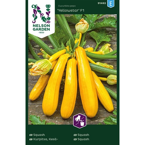 Squash, Yellowstar F1