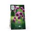 Allium, Sphaerocephalon