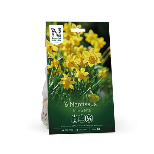 Narciss, botanisk, Tete-a-tete