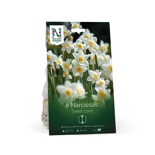 Narciss, botanisk, Sweet Love