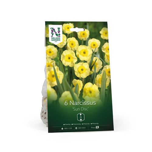 Narciss, botanisk, Sun Disc