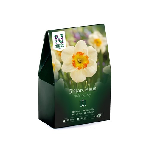 Narcissus, Infinite Joy