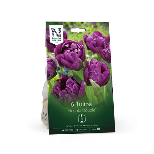 Tulpan, Sen dubbel, Negrita Double
