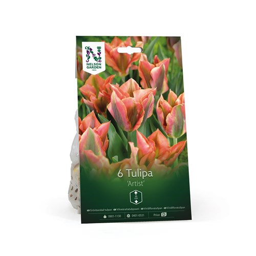 Tulpan, Viridiflora, Artist