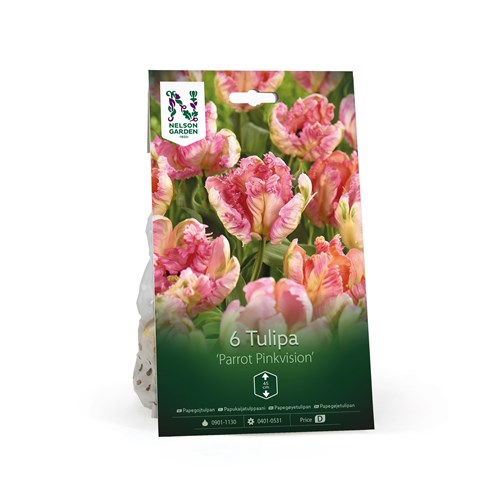 Tulpan, Papegoj, Parrot Pinkvision