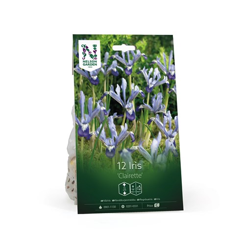 Iris, Våriris, Clairette