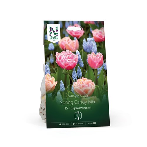 Perfect Partners, Tulpan, Spring Candy Mix