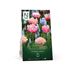 Perfect Partners, Tulpan, Spring Candy Mix