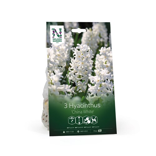 Hyacint, China White