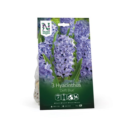 Hyacint, Delft Blue
